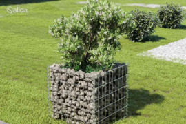 vidaXL Gabiono vazonas, galvanizuotas plienas, 50x50x50cm, aukštas