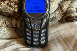 Motorola C113