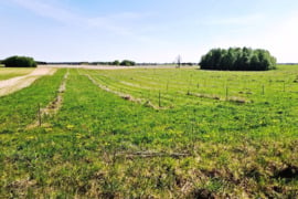 Sklypas Sarapiniškių k. Varėnos raj.