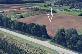 Klaipėdos r. Gribžinių k. parduodamas 3,8730 ha žemės sklypas