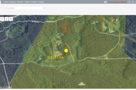 Parduodamas 9.8 ha miško sklypas Kauno r., Zapyškio sen., Novos k.