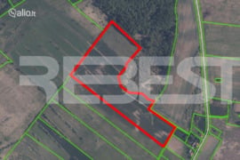1032 a sklypas Radviliškio r. sav., Mažuoliai