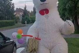 Meškutės sveikinimai, Kaunas  Aukštutiniai Kaniūkai  A. Fromo-Gužučio g.