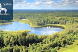 535.0 a sklypas Zarasų r. sav., Kamariškiai