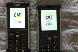 Cat B100