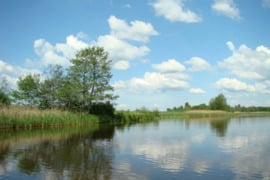 Parduodamas sklypas su tvenkinio pakrante 18 km nuo Kauno m. ribos