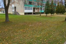 1 kamb. butas Druskininkų sav., Viečiūnai