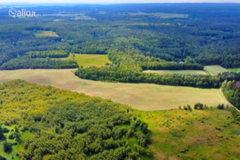 500.0 a sklypas Trakų r. sav., Vytautava