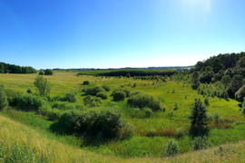40 a sklypas Klaipėdos r. sav., Normantai