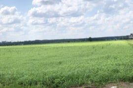 Sklypas šalia Pagirių, Vilniaus m.