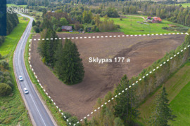 177.0 a sklypas Vilniaus r. sav., Pikeliškės, Paberžės g.