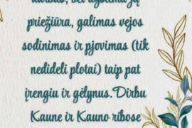 Apželdinimas