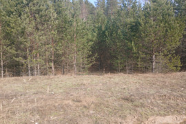9 a sklypas Druskininkų sav., Druskininkai, Pylimo g.