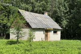 Kelmės r. sav., Badauskiai