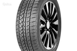 Doublestar DW02 225/55R18 98S, Žieminės padangos