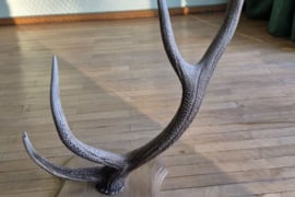 Interjero akcentas ragai 87 cm, 4 atšakos