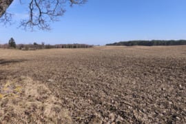 Varėnos raj.Ilgininkų km.parduodamas 10.8800ha žemės ūkio paskirties žemės sklypas