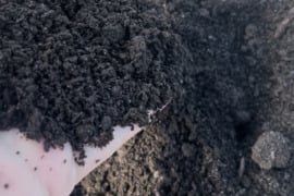 Kompostinė žemė Kaune ir Kauno apskrityje 8m3