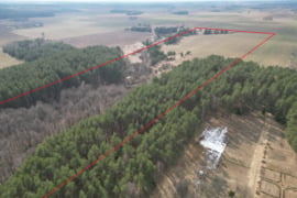 19 Ha sklypas su 5 Ha miško Varėnos raj Panaros kaime