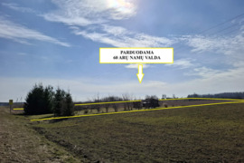 60 arų namų valda kartu su 3 k. butu Ruzguose