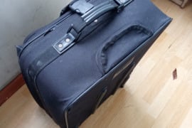 Lagaminas su ratukais