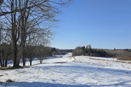 Parduodama sodyba su didžiuliu 33,8 ha žemės sklypu Paplūsčių k., Kelmės r.