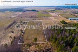 202 a sklypas Kretingos r. sav., Lazdininkai