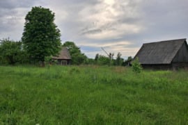 Parduodama sodyba su žeme 2ha.