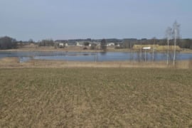 Sodyba Elektrėnų sav., Budiliai