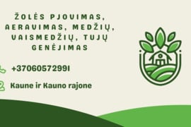 Žolės pjovimas, Aeravimas, Tujų, Medžių genėjimas