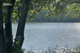110.0 a sklypas Trakų r. sav., Drabužininkai