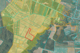 Parduodamas 5,45 ha sklypas su urbanizacijos perspektyva Pakamorių k.