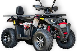 Benzininis keturratis TAO HUNTER 250cc
