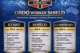 Pasiruošimas darbui užsienyje lietuviams