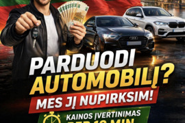 Brangus auto supirkimas