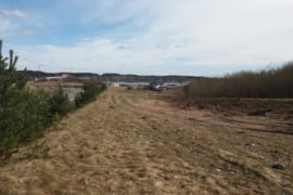 Trakų r., Lentvario sen., Moluvėnų k. sklypas 1.195 ha