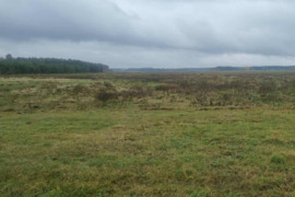 Žemės ūkio sklypas 8,8 ha Kalvarijos raj.
