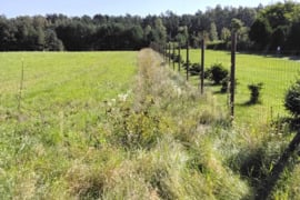 Parduodamas 1,574 ha sklypas namų statybai, esantis šalia Klaipėdos miesto, tik 1,5 km nuo Klaipėdos