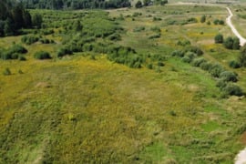 Parduodame 9,2ha sklypą Liubeliškėse