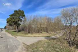 77.19 a sklypas Panevėžio r. sav., Vyčiai
