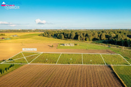 12.0 a sklypas Šiaulių r. sav., Voveriškiai