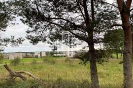 27 a sklypas Palanga, Palanga, Paliepgirių kelias