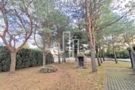 Palanga, Palanga, Didžioji g.