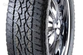 Winrun Maxclaw A/T 255/70R16 111T, Vasarinės padangos