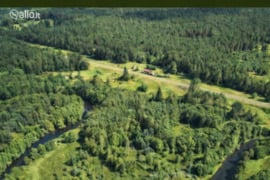 229.0 a sklypas Švenčionių r. sav.
