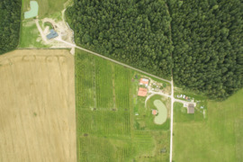 43 a sklypas Kretingos r. sav., Rubuliai