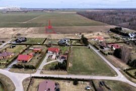 29.0 a sklypas Kėdainių r. sav., Pelėdnagiai