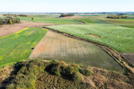 Žemės ūkio sklypas - Vilkaviškio r. sav., Bartninkų mstl.