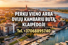 Perku 1 arba 2 k. butą Klaipėdoje, galima be remonto skubiai, patogus atsiskaitymas