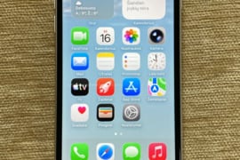 Apple Iphone SE2022